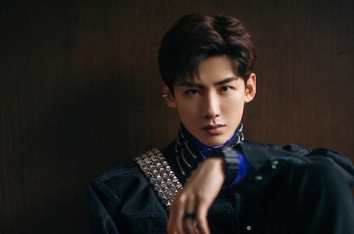 Bai Jing Ting public/images/actor/images/Bai-Jing-Ting-8840.jpeg